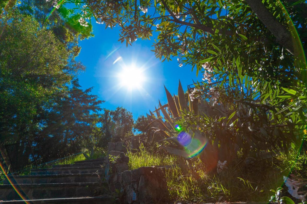 Giardino Sul Mare House - Levanto Sea View ภายนอก รูปภาพ