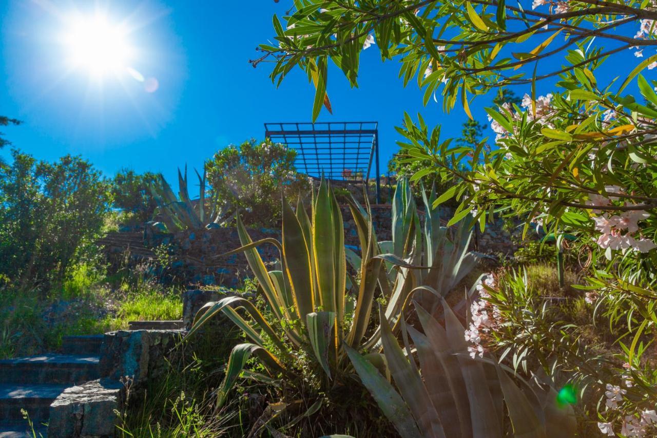 Giardino Sul Mare House - Levanto Sea View ภายนอก รูปภาพ